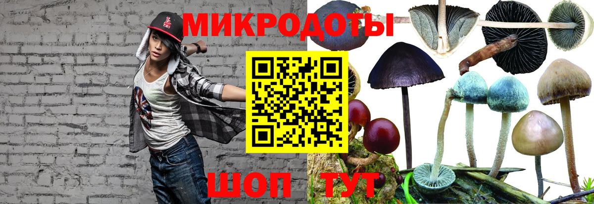 Псилоцибиновые грибы Magic Shrooms Арсеньев
